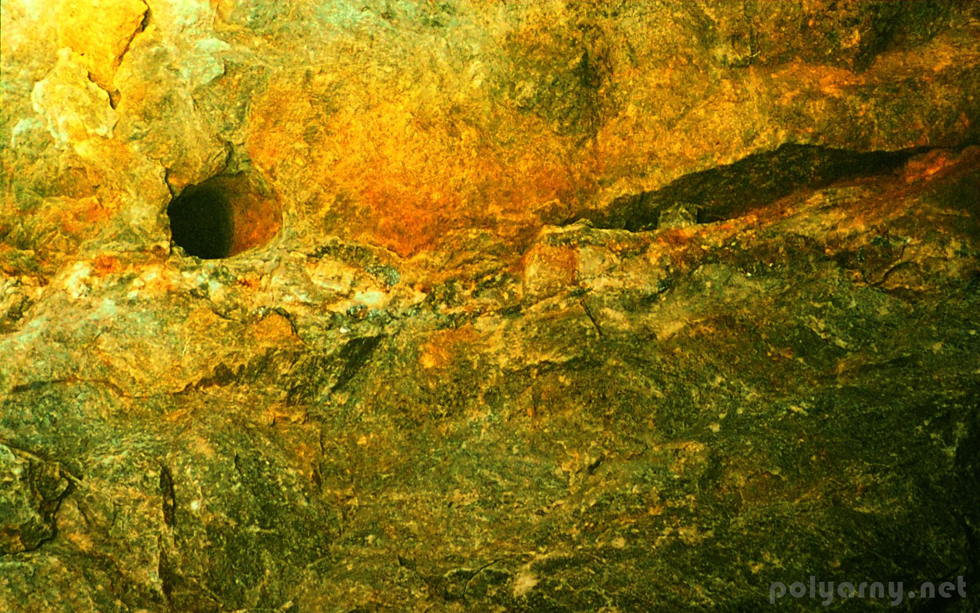 Кварц-сульфидный прожилок с мин. молибденита