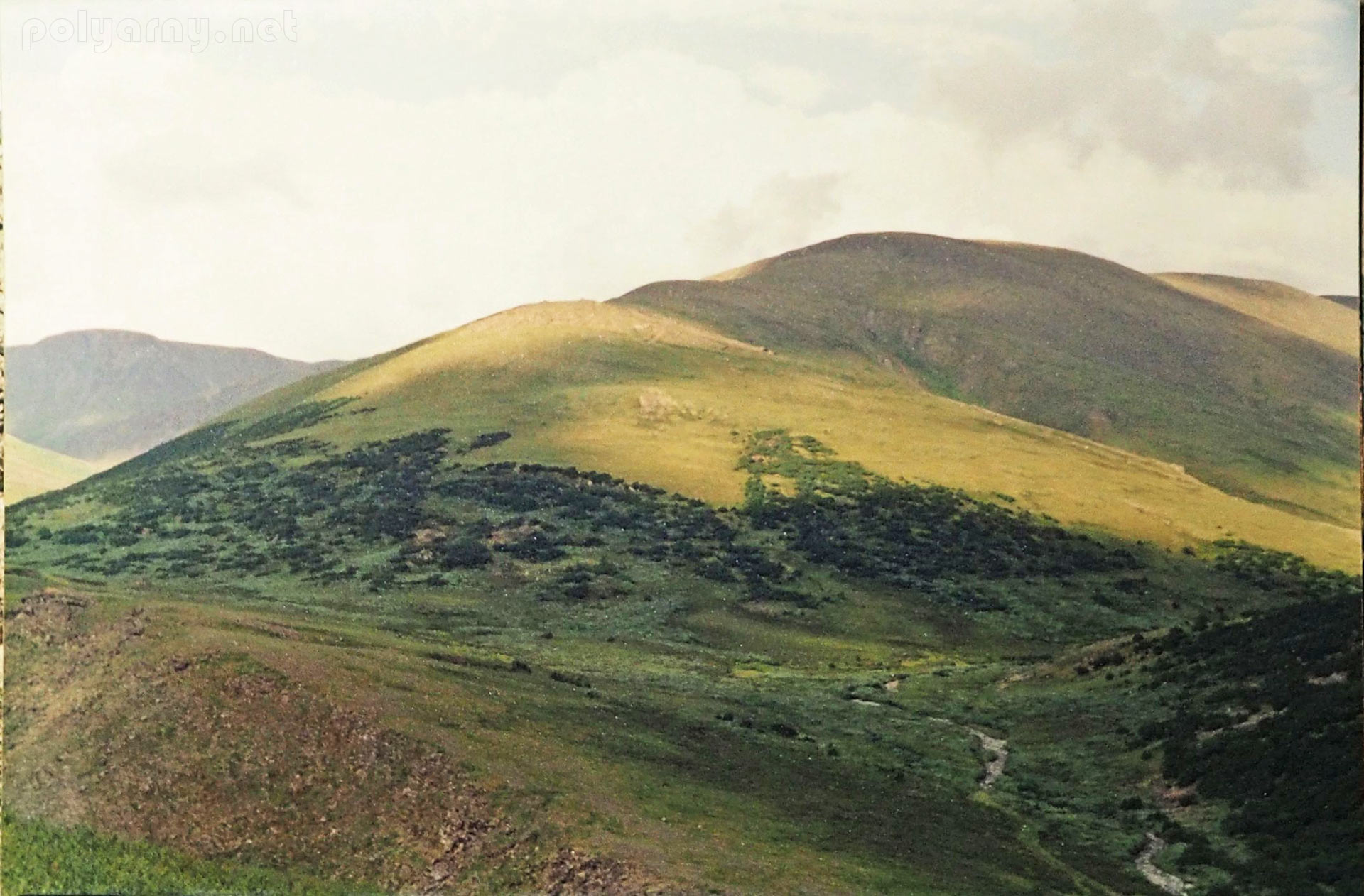 Вид на Свинцовый участок. Харбей, 2004