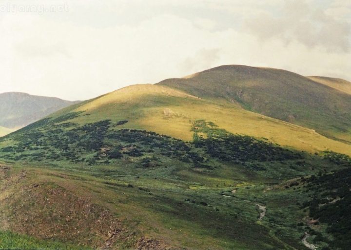 Вид на Свинцовый участок. Харбей, 2004