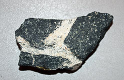 Габбро с жилками плагиоаплита. Образец взят Заварицким и хранится в отделе полезных ископаемых Уральского геологического музея